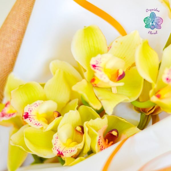 RAMO DORADO DE ORQUÍDEAS - Imagen 4