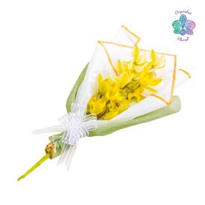 RAMO VERDE DE ORQUÍDEAS