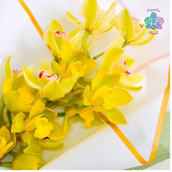 RAMO VERDE DE ORQUÍDEAS - Imagen 4
